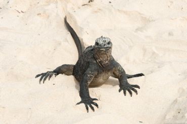 AUTORE: Luciano Vettorato AUTORE: Luciano Vettorato