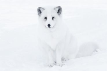 AUTORE: Patrizio Maniero AUTORE: Patrizio Maniero