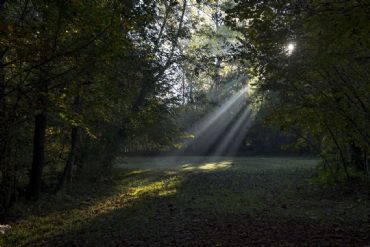 AUTORE: Breda Gianangelo AUTORE: Breda Gianangelo