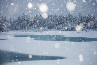 AUTORE: CRISTIANA DAMIANO AUTORE: CRISTIANA DAMIANO /