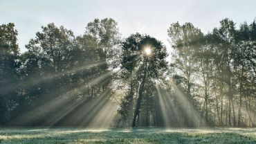 AUTORE: Luigi Dorigo AUTORE: Luigi Dorigo