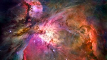 AUTORE: Luigi Dorigo - Ali e Radici Multivisioni AUTORE: Luigi Dorigo - Ali e Radici Multivisioni