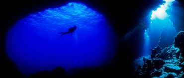 AUTORE: Luigi Dorigo - Ali e Radici Multivisioni AUTORE: Luigi Dorigo - Ali e Radici Multivisioni /