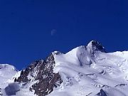 AUTORE: Luigi Dorigo - Ali e Radici Multivisioni AUTORE: Luigi Dorigo - Ali e Radici Multivisioni /