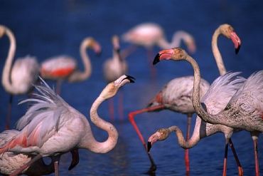 AUTORE: Valter Binotto AUTORE: Valter Binotto