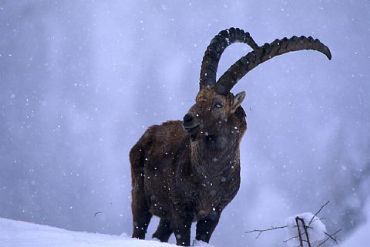 AUTORE: Valter Binotto AUTORE: Valter Binotto