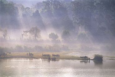 AUTORE: Carlo De Agnoi AUTORE: Carlo De Agnoi