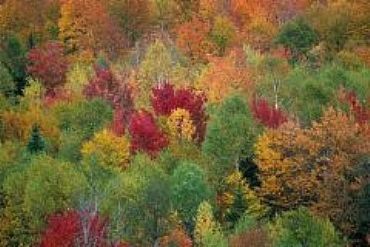 AUTORE: Carlo De Agnoi AUTORE: Carlo De Agnoi /