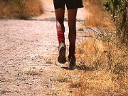 AUTORE: Luigi Dorigo - Ali e Radici Multivisioni AUTORE: Luigi Dorigo - Ali e Radici Multivisioni /