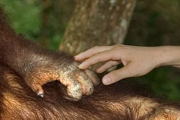 AUTORE: Merlino Multivisioni AUTORE: Merlino Multivisioni /