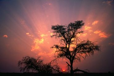 AUTORE: Ervin Skalamera AUTORE: Ervin Skalamera