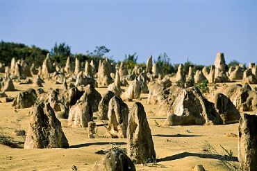 AUTORE: Luigi Dorigo - Ali e Radici Multivisioni AUTORE: Luigi Dorigo - Ali e Radici Multivisioni /