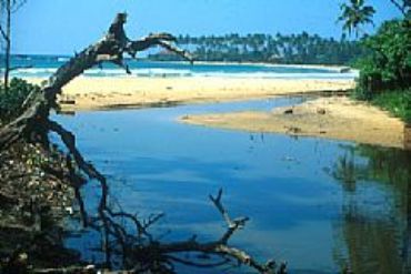 AUTORE: 360° Multivisioni AUTORE: 360° Multivisioni