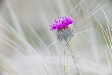 AUTORE: Roberto Valenti AUTORE: Roberto Valenti