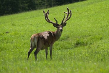 AUTORE: Fulvio Beltrando AUTORE: Fulvio Beltrando