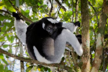 AUTORE: Merlino Multivisioni AUTORE: Merlino Multivisioni /