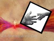 AUTORE: Luigi Dorigo - Ali e Radici Multivisioni AUTORE: Luigi Dorigo - Ali e Radici Multivisioni