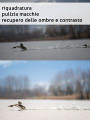 AUTORE: Luigi Dorigo - Ali e Radici Multivisioni AUTORE: Luigi Dorigo - Ali e Radici Multivisioni