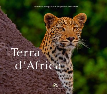 AUTORE: Merlino Multivisioni AUTORE: Merlino Multivisioni /