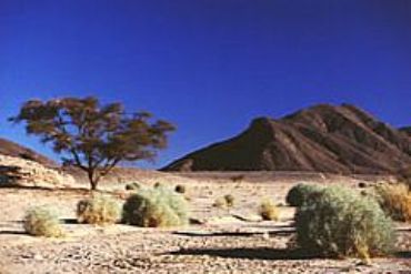 AUTORE: Luciano Vettorato AUTORE: Luciano Vettorato