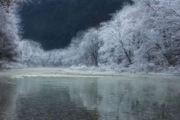 AUTORE: Damiano Vardanega AUTORE: Damiano Vardanega