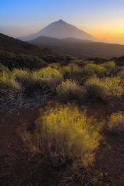 AUTORE: Marco Dian AUTORE: Marco Dian