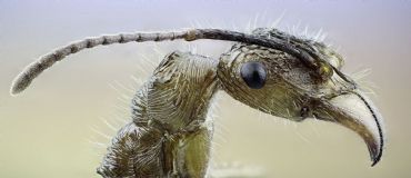 AUTORE: Filò Multivisioni AUTORE: Filò Multivisioni