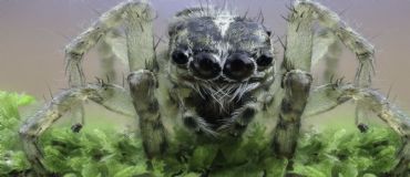 AUTORE: Filò Multivisioni AUTORE: Filò Multivisioni