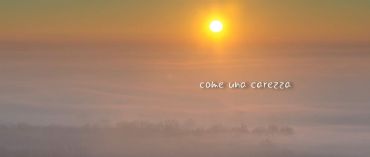 AUTORE: Luigi Dorigo - Ali e Radici Multivisioni AUTORE: Luigi Dorigo - Ali e Radici Multivisioni /