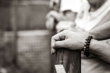 AUTORE: Luigi Dorigo - Ali e Radici Multivisioni AUTORE: Luigi Dorigo - Ali e Radici Multivisioni /